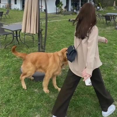 兽国女王